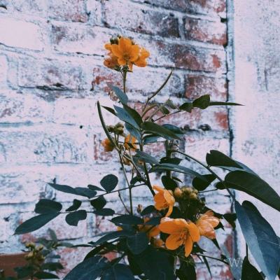 亚搏全站APP官网下载截图